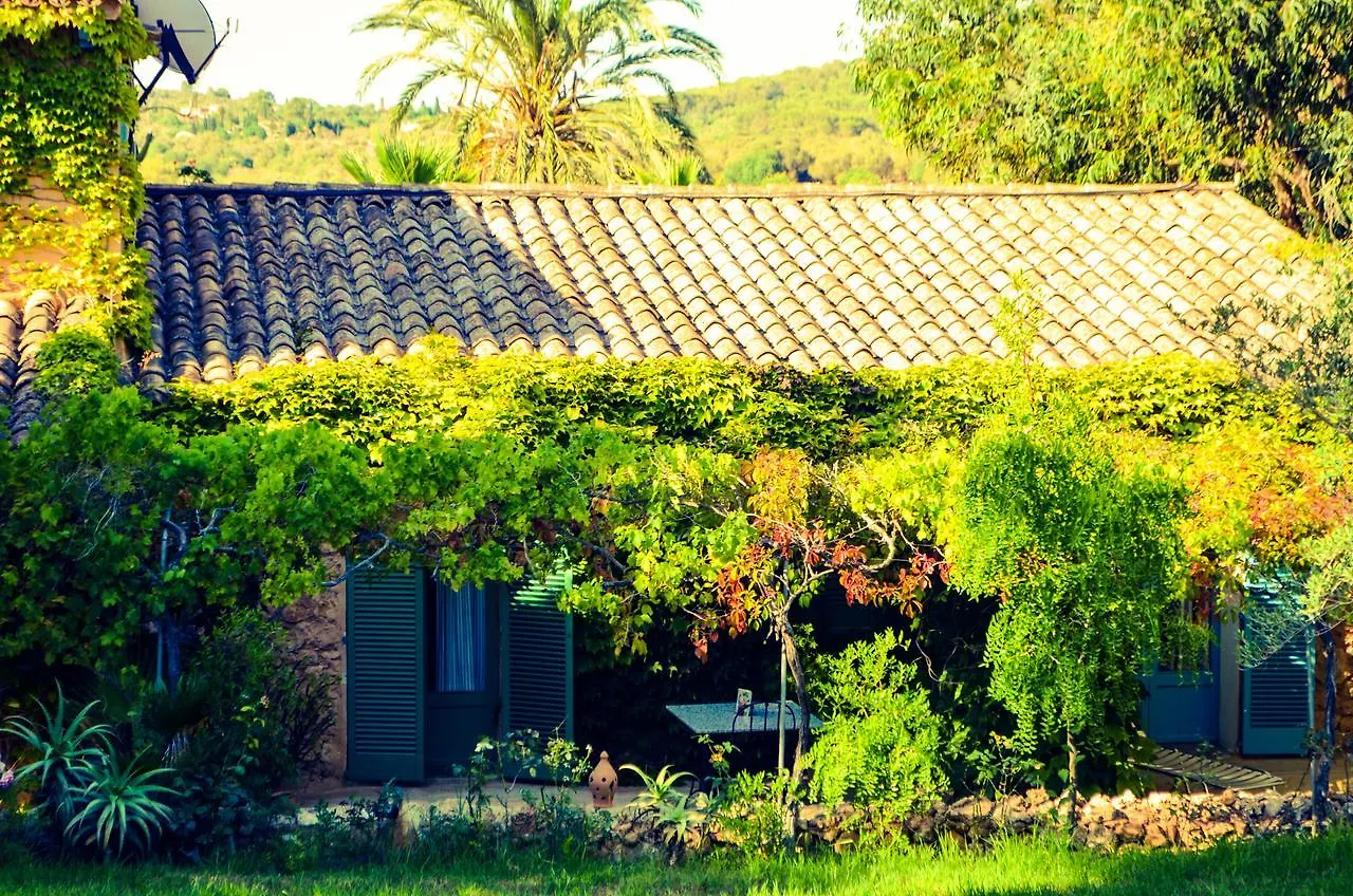 Hotel Son Vent Cas Concos